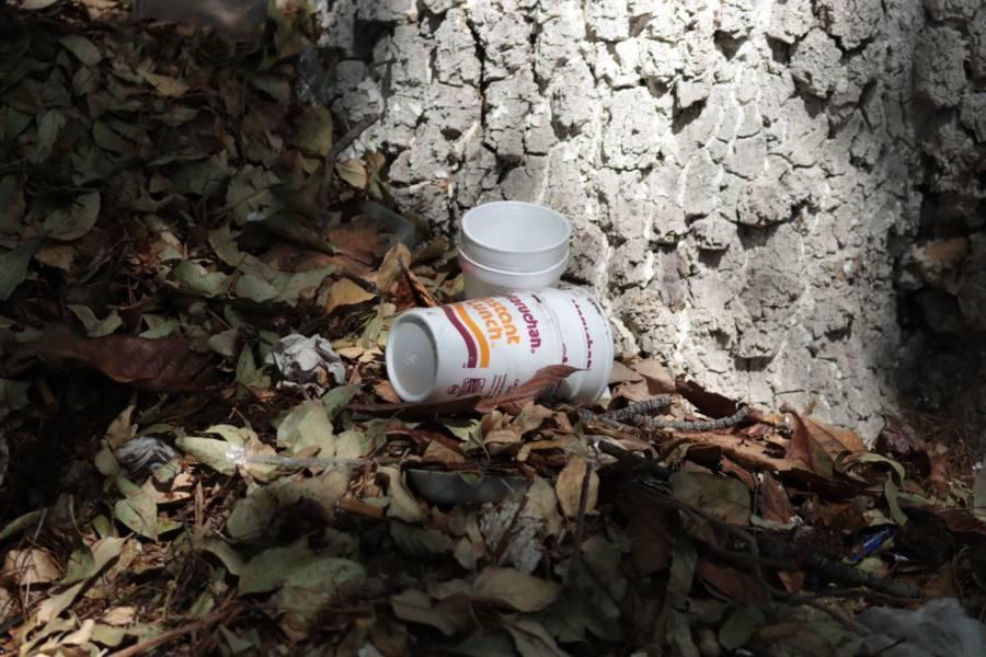 Disminuye población de ardillas en el parque de la capital 