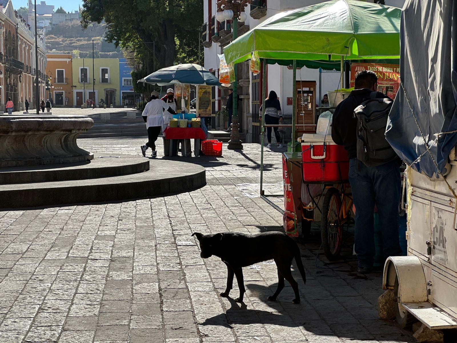 Calles vacías por día asueto en la capital tlaxcalteca 