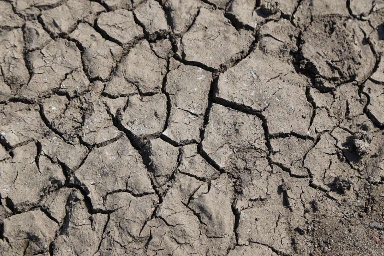 Laguna de Acuitlapilco desciende drásticamente su nivel
