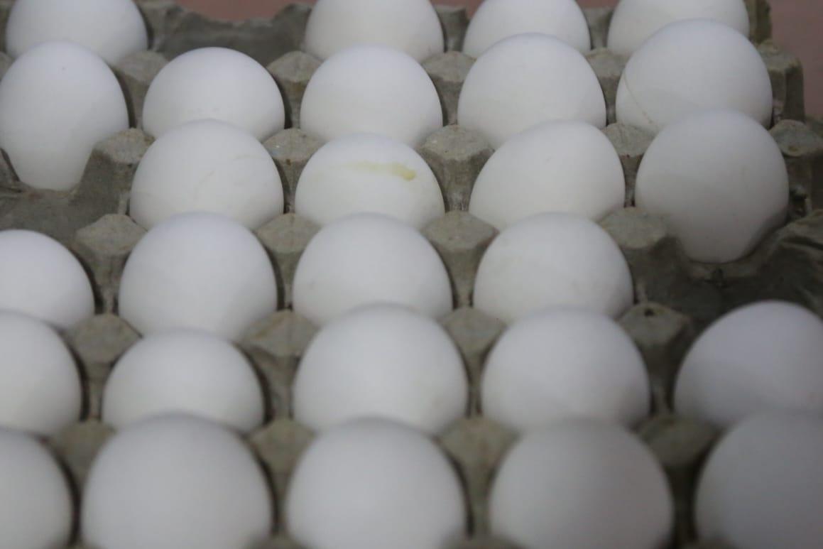 Aumenta el precio del huevo en Tlaxcala 