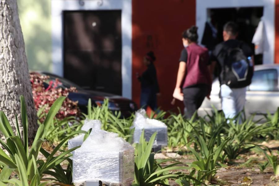 Estrenará plaza Xicohténcatl alumbrado decorativo  