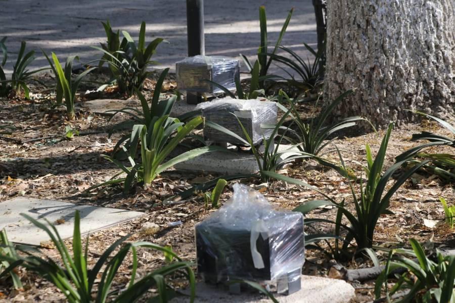 Estrenará plaza Xicohténcatl alumbrado decorativo  