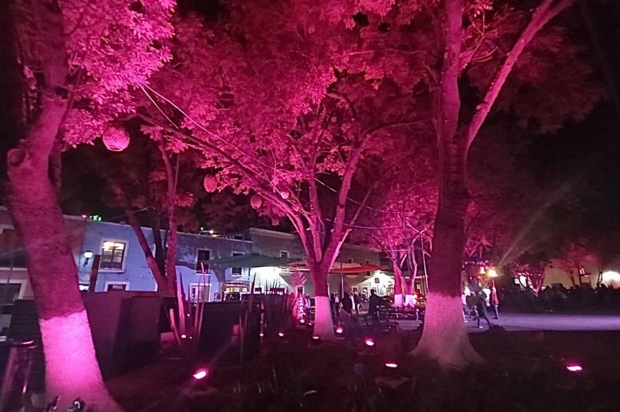 Inauguró Gobernadora obras de iluminación en la capital del estado