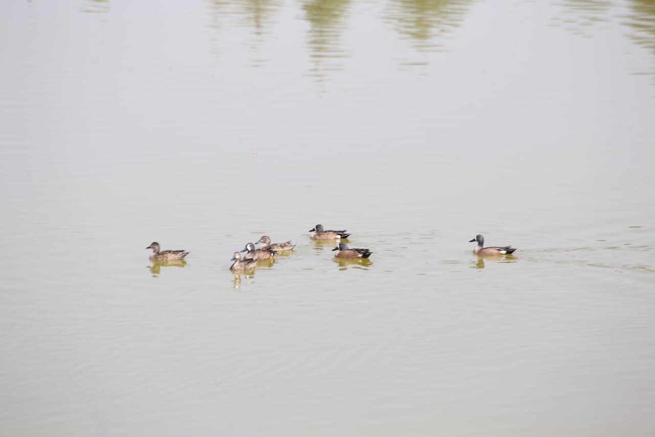Pesca en Zacatelco 