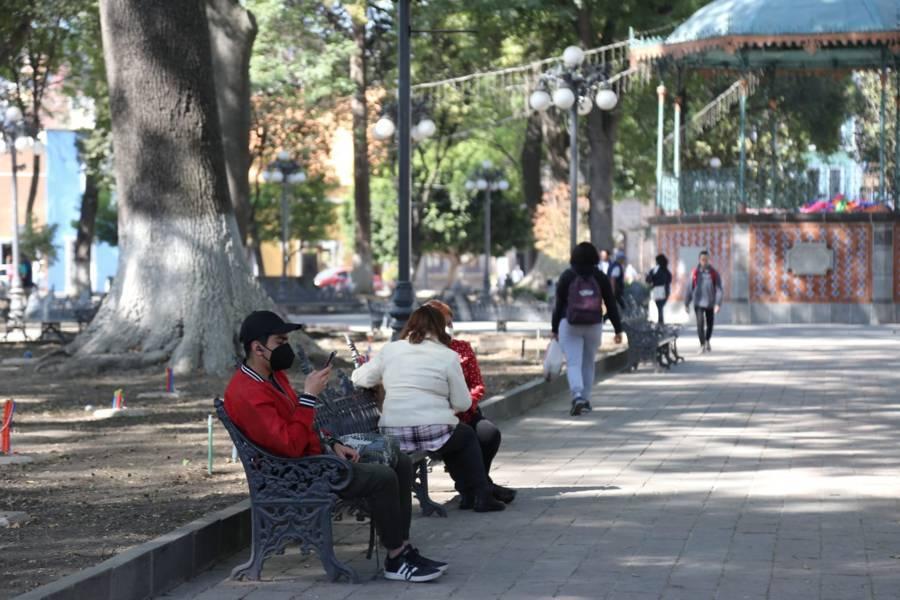 Quitan arbustos del parque de Tlaxcala 