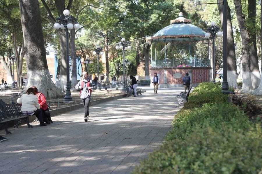 Quitan arbustos del parque de Tlaxcala 