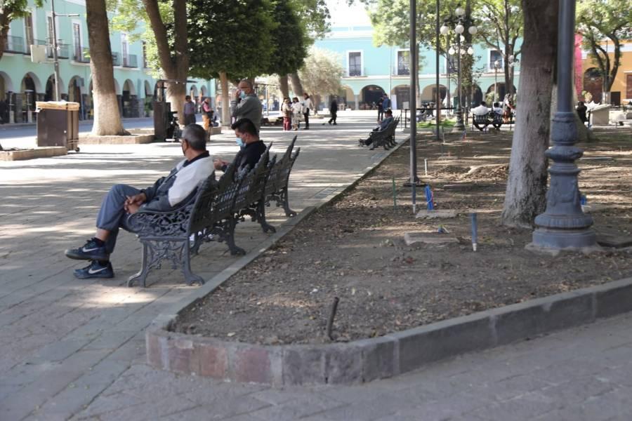 Quitan arbustos del parque de Tlaxcala 