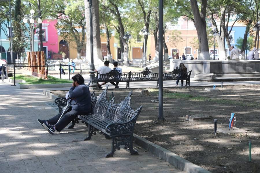 Quitan arbustos del parque de Tlaxcala 