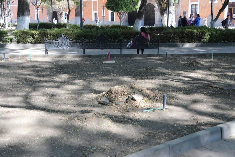 Quitan arbustos del parque de Tlaxcala 