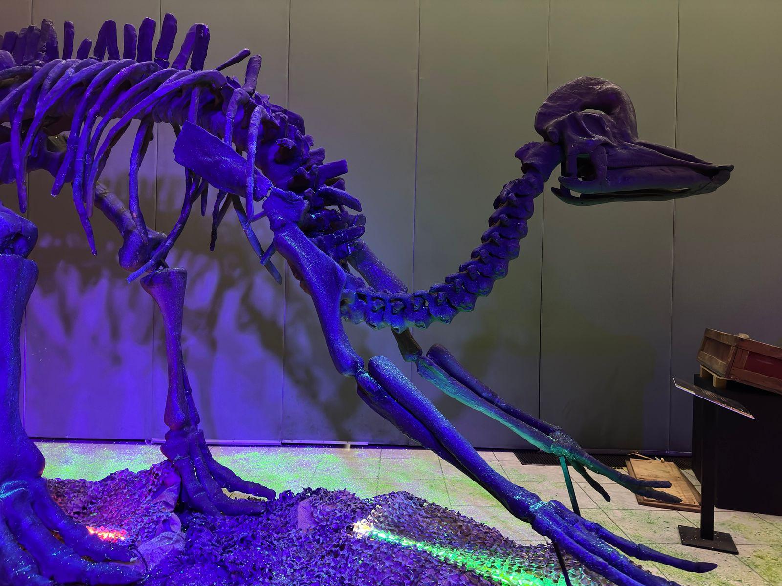 Llega museo itinerante "Tierra de Dinosaurios a Tlaxcala "