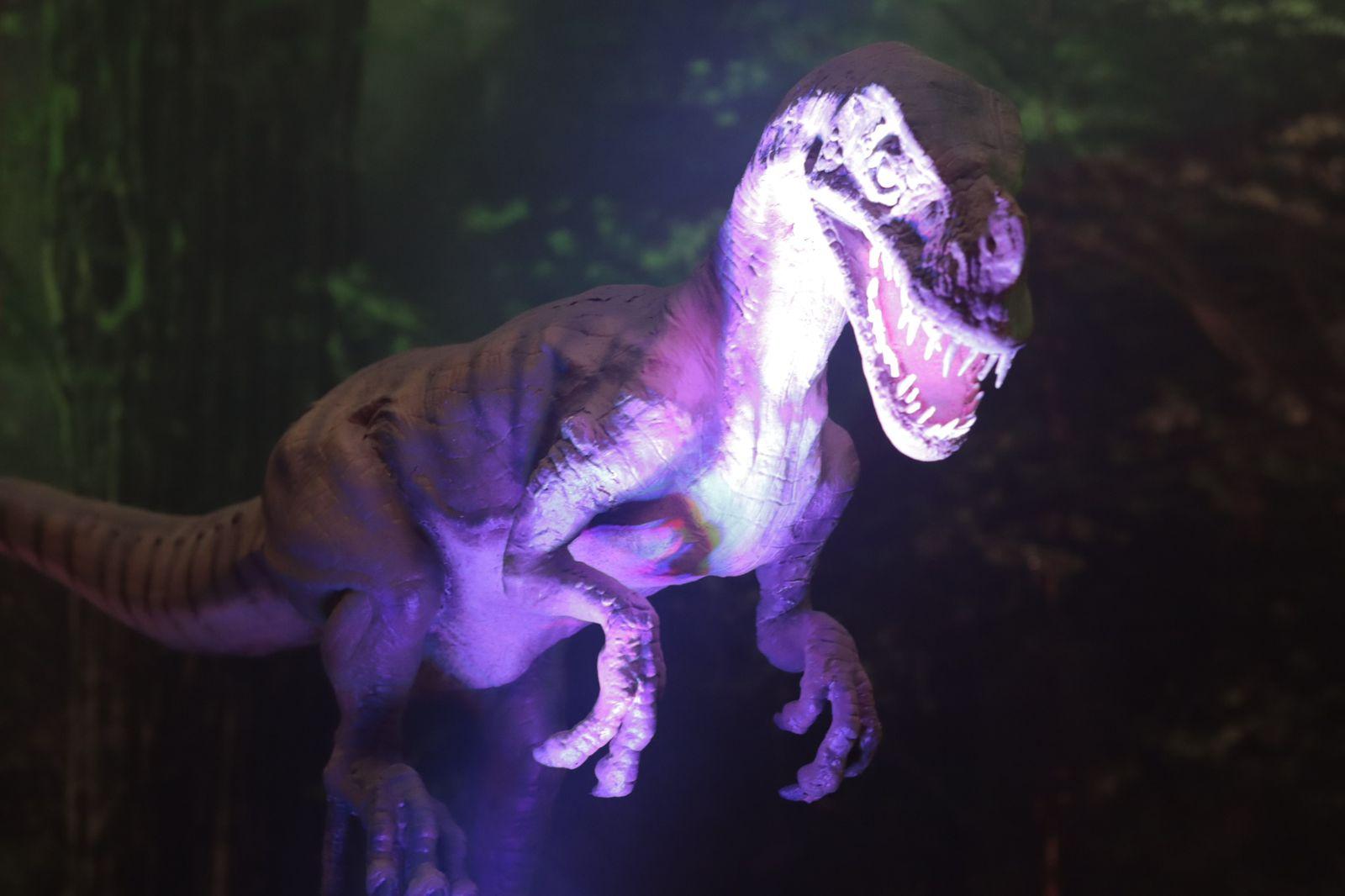 Llega museo itinerante "Tierra de Dinosaurios a Tlaxcala "
