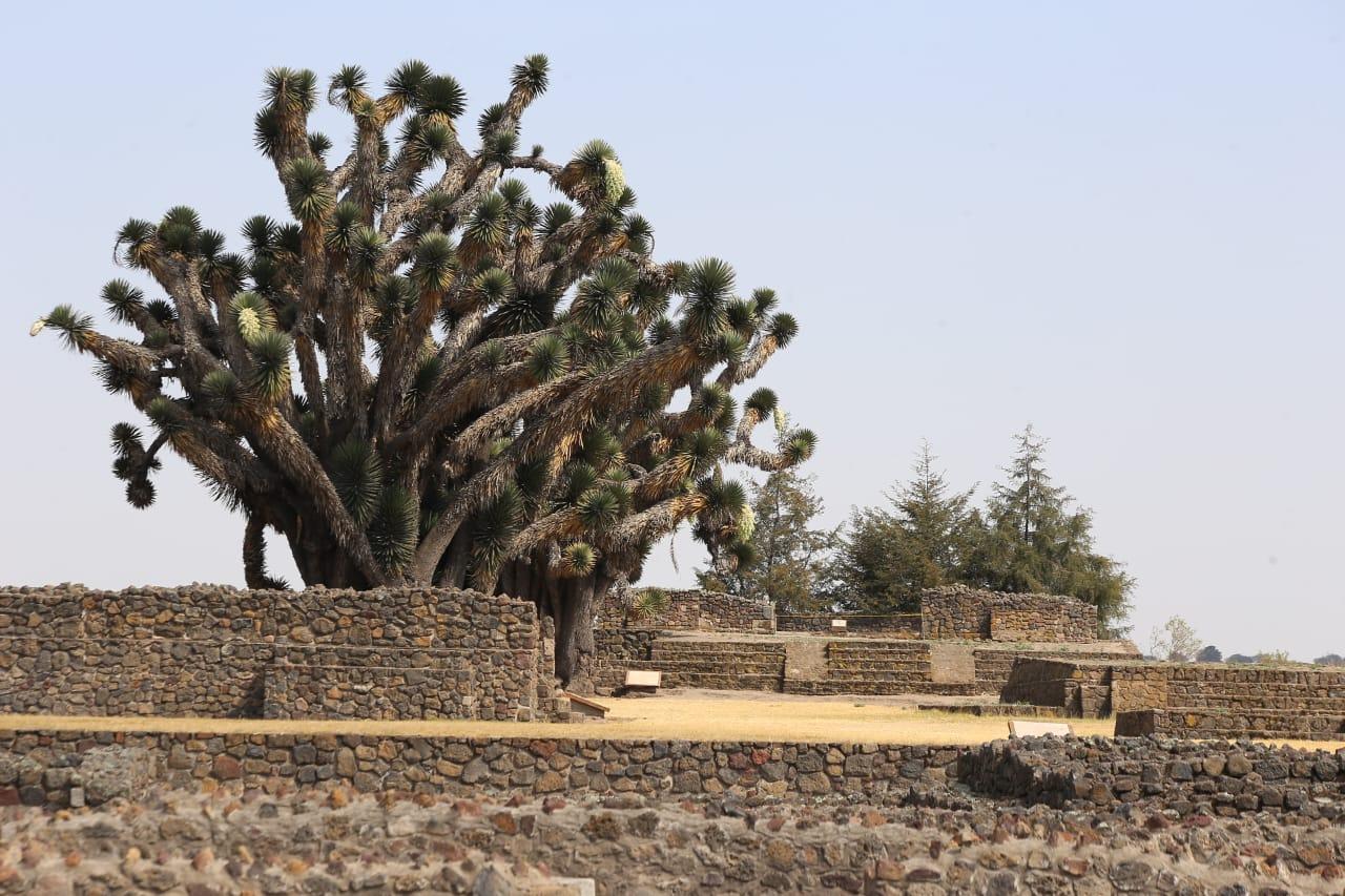 Zona arqueológica de Tecoaque
