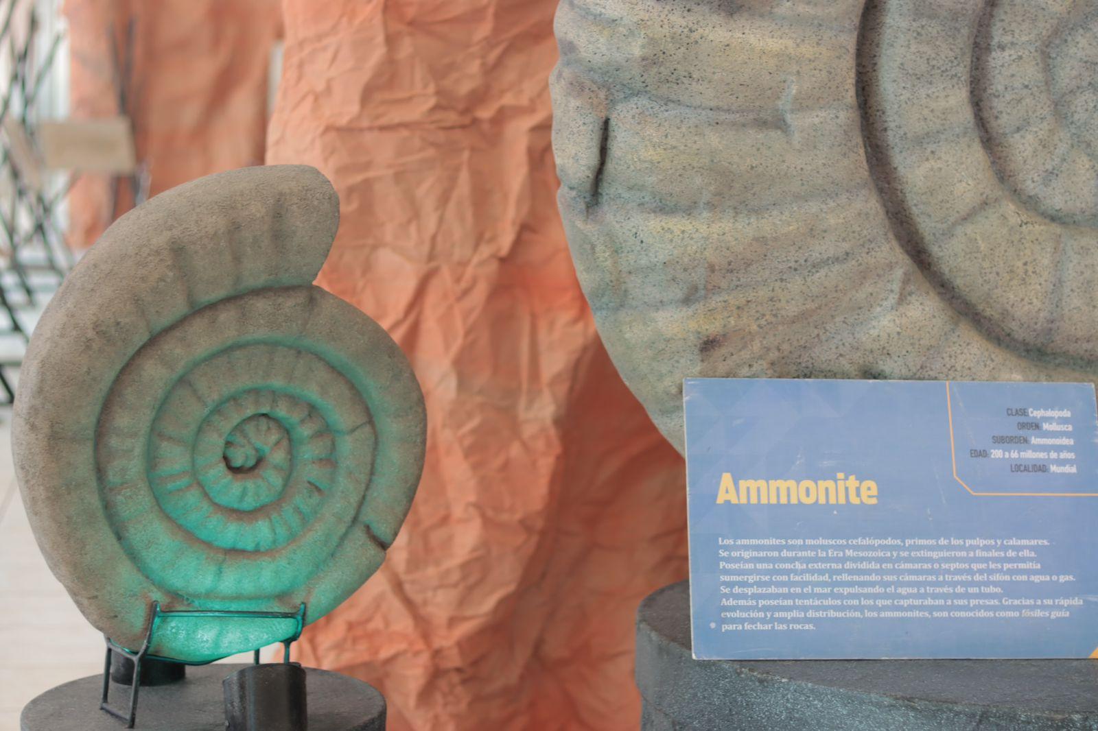 Llega museo itinerante "Tierra de Dinosaurios a Tlaxcala "