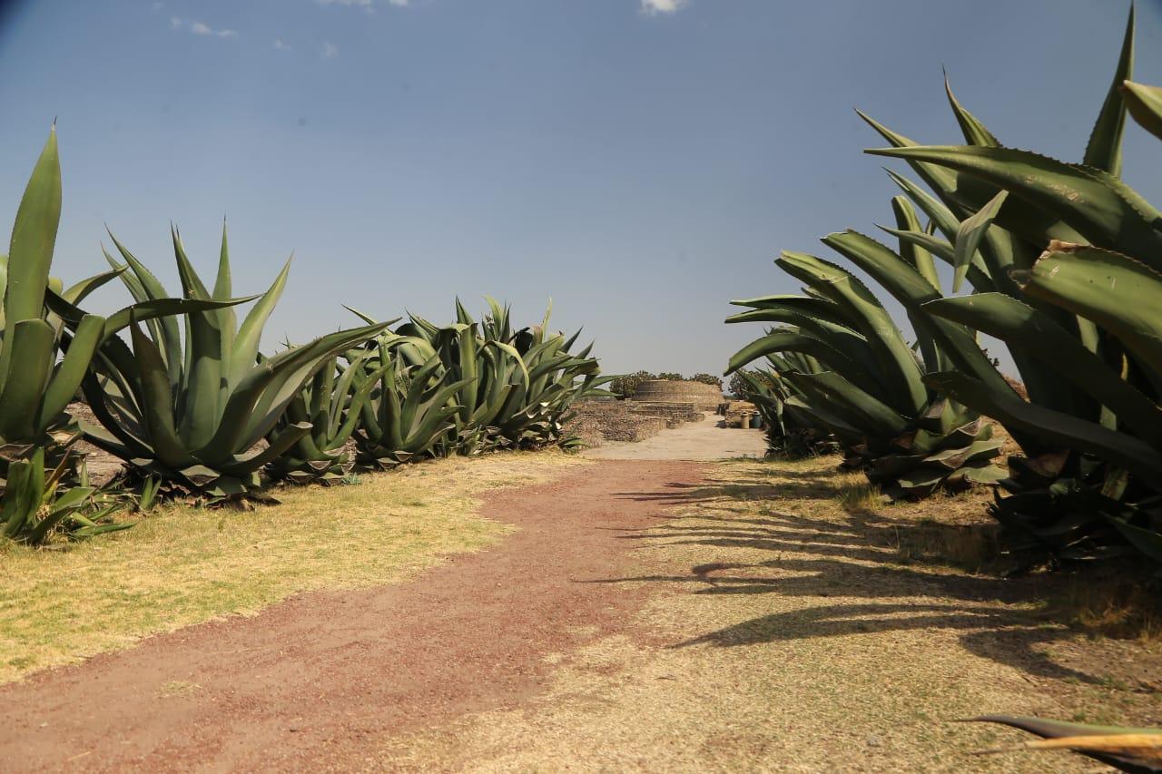 Zona arqueológica de Tecoaque
