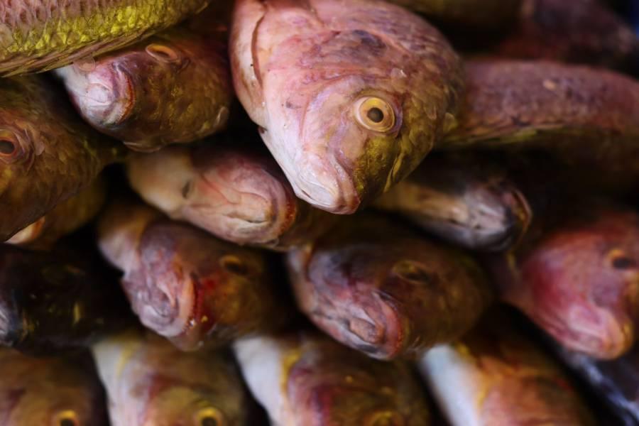 La falta de fe provoca bajas ventas de mariscos en Tlaxcala 