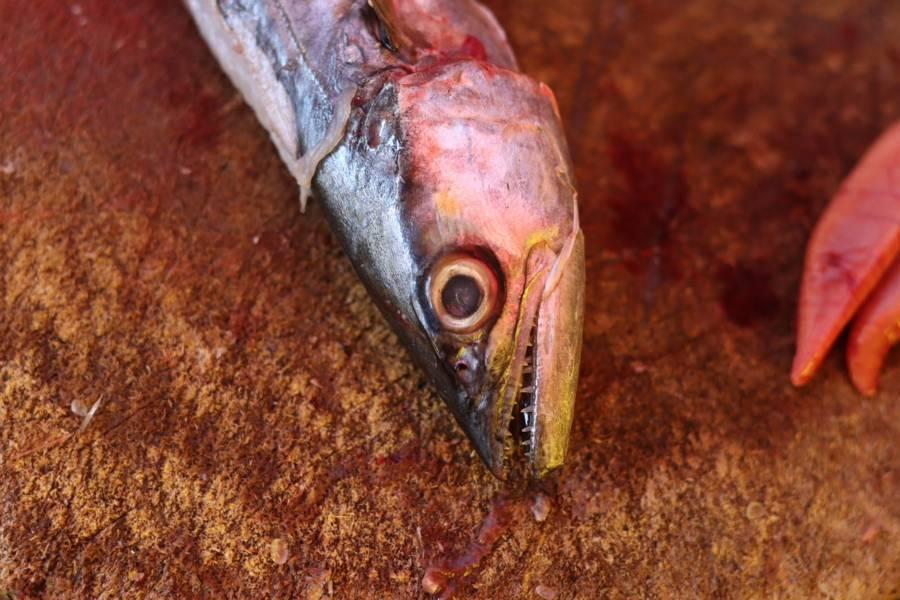 La falta de fe provoca bajas ventas de mariscos en Tlaxcala 