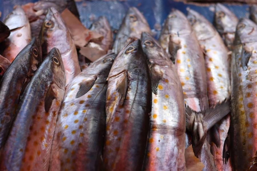 La falta de fe provoca bajas ventas de mariscos en Tlaxcala 