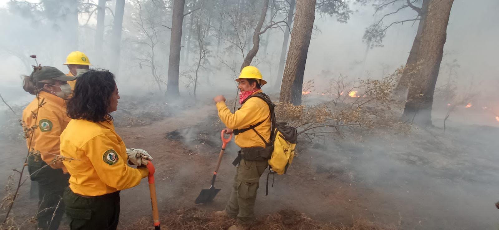 Incendio forestal en Chiautempan afectó 84 hectáreas