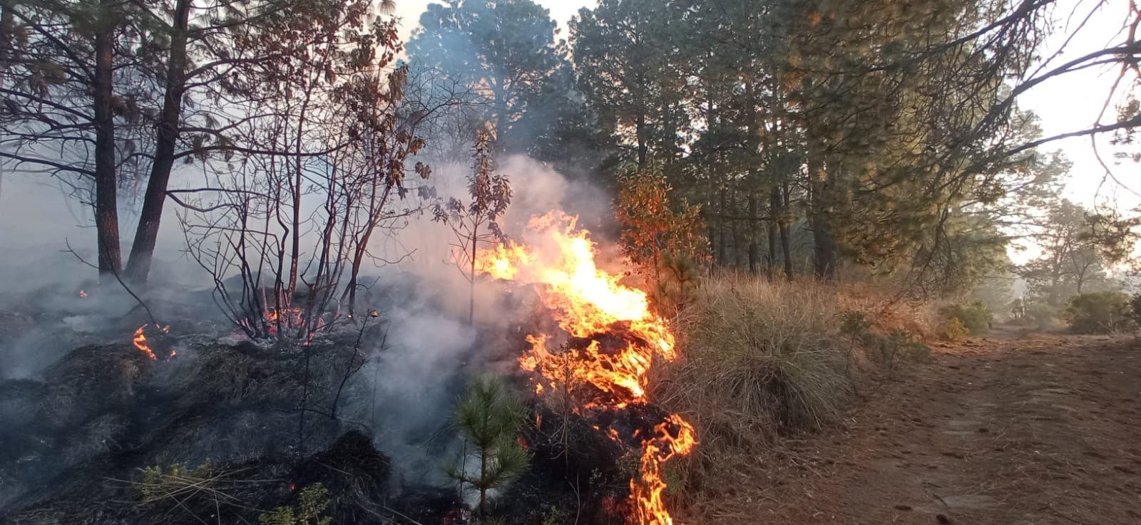 Incendio forestal en Chiautempan afectó 84 hectáreas