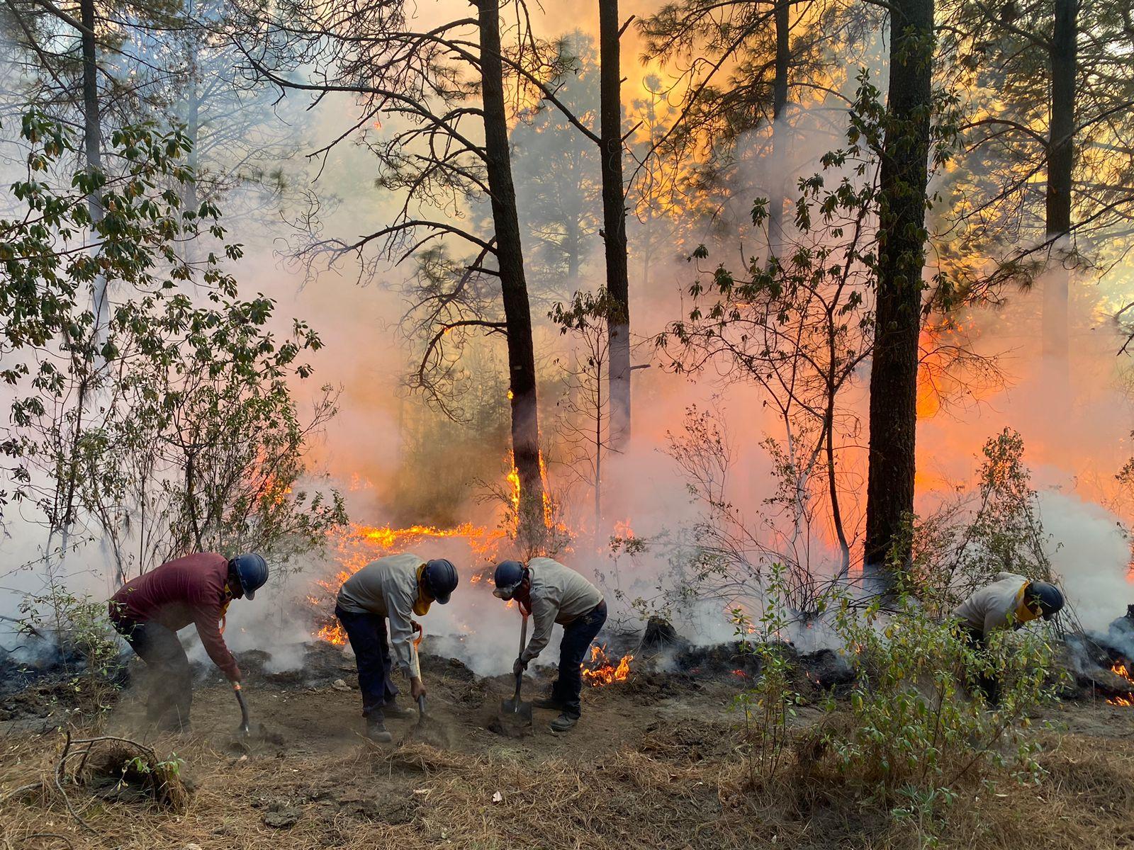 Incendio forestal en Chiautempan afectó 84 hectáreas