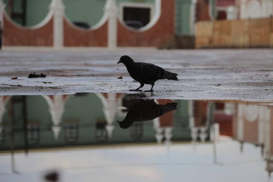 Fuerte lluvia sorprende a los capitalinos este martes