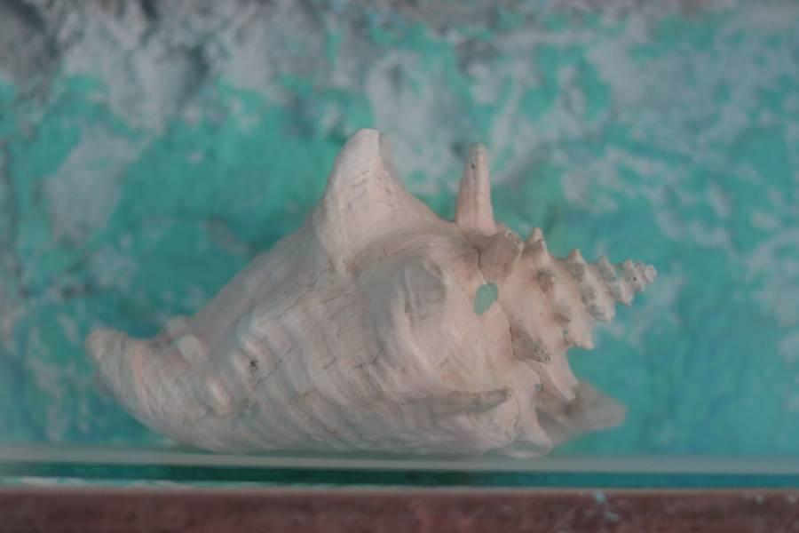 Museo de sitio de San José Atoyatenco