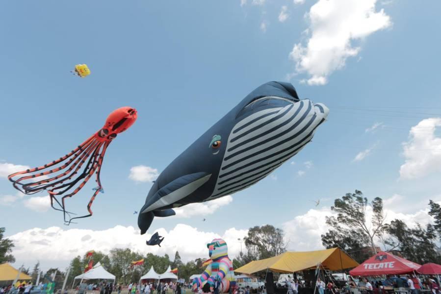 Decenas de familias acuden al festival del papalote y el globo 