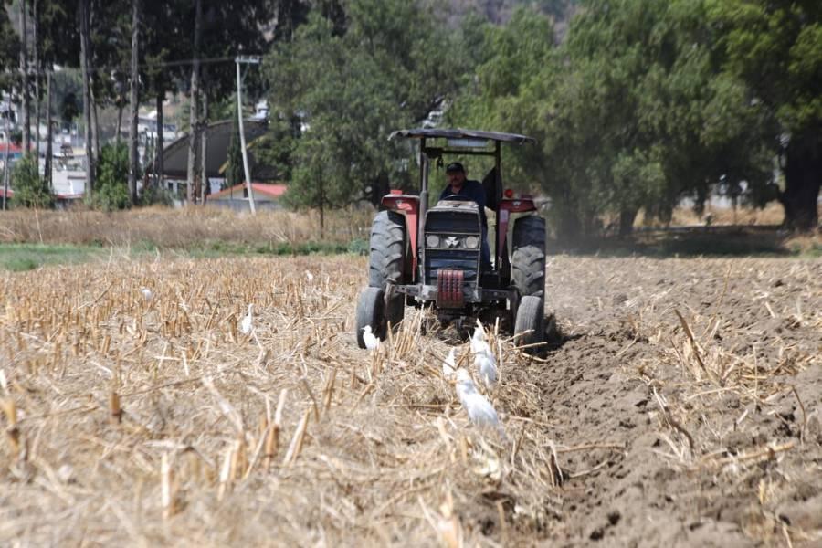 Se preparan campesinos para la siembra