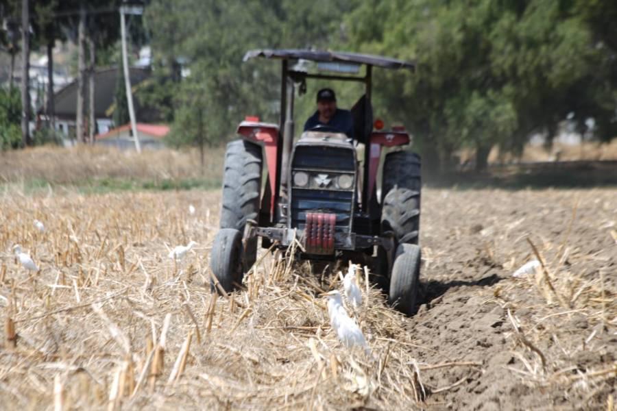 Se preparan campesinos para la siembra