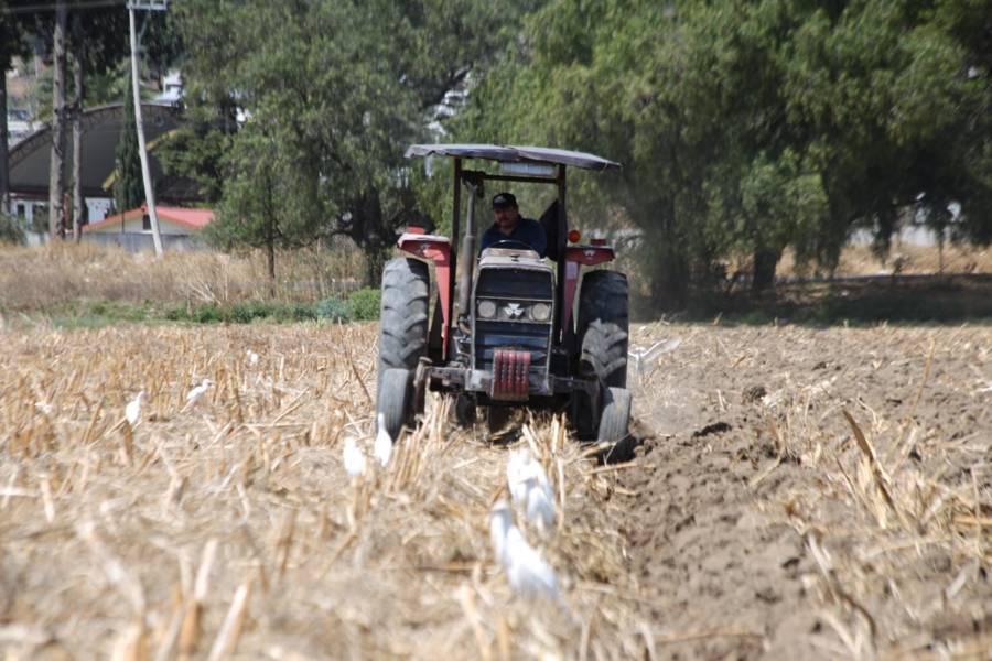 Se preparan campesinos para la siembra