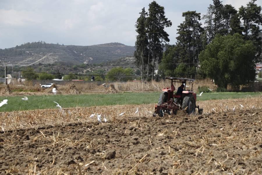 Se preparan campesinos para la siembra