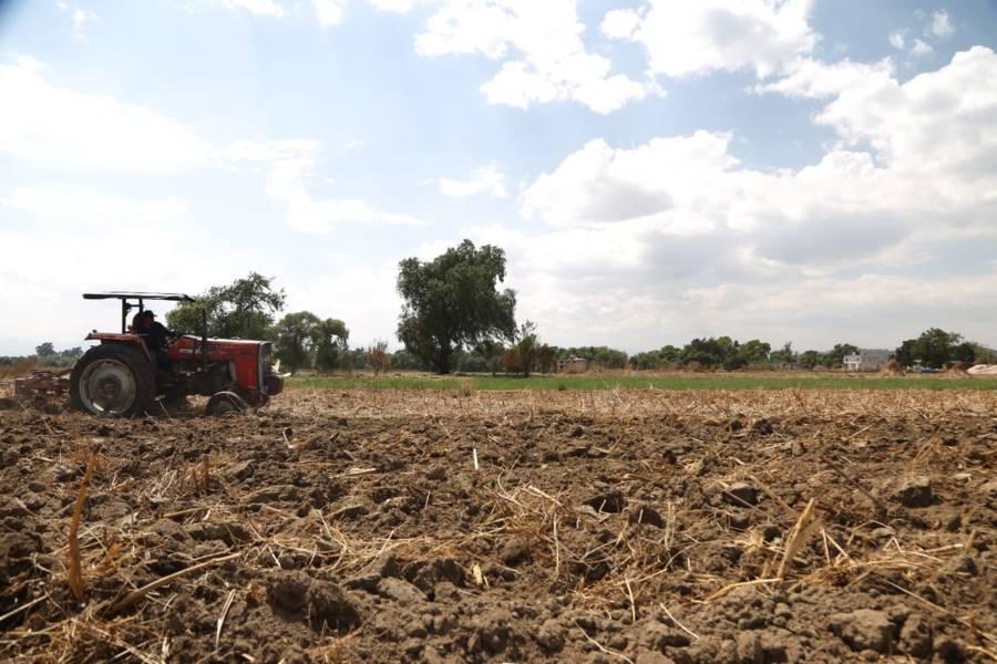 Se preparan campesinos para la siembra