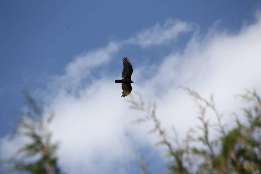 Domingo familiar se realiza en Apetatitlán 