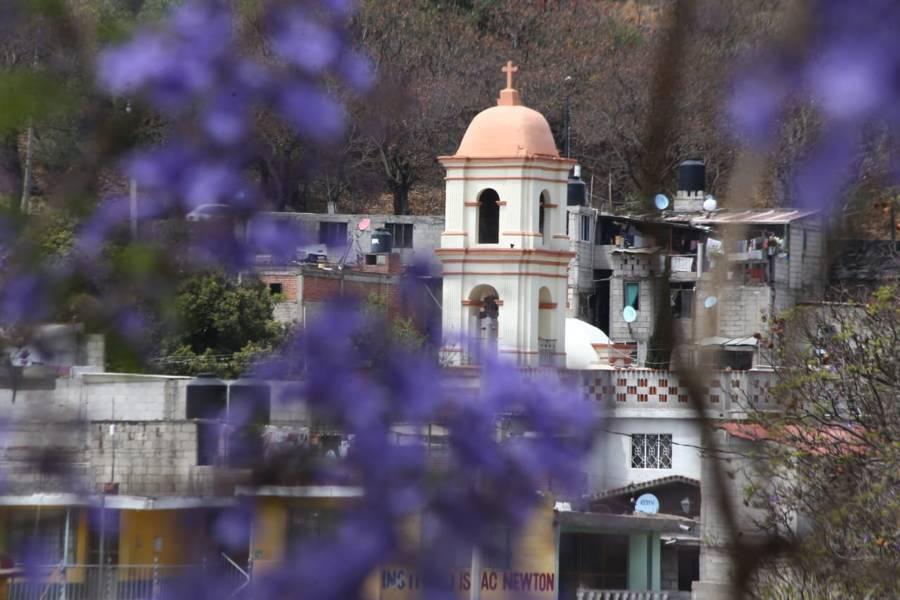 Florecen jacarandas en la capital 