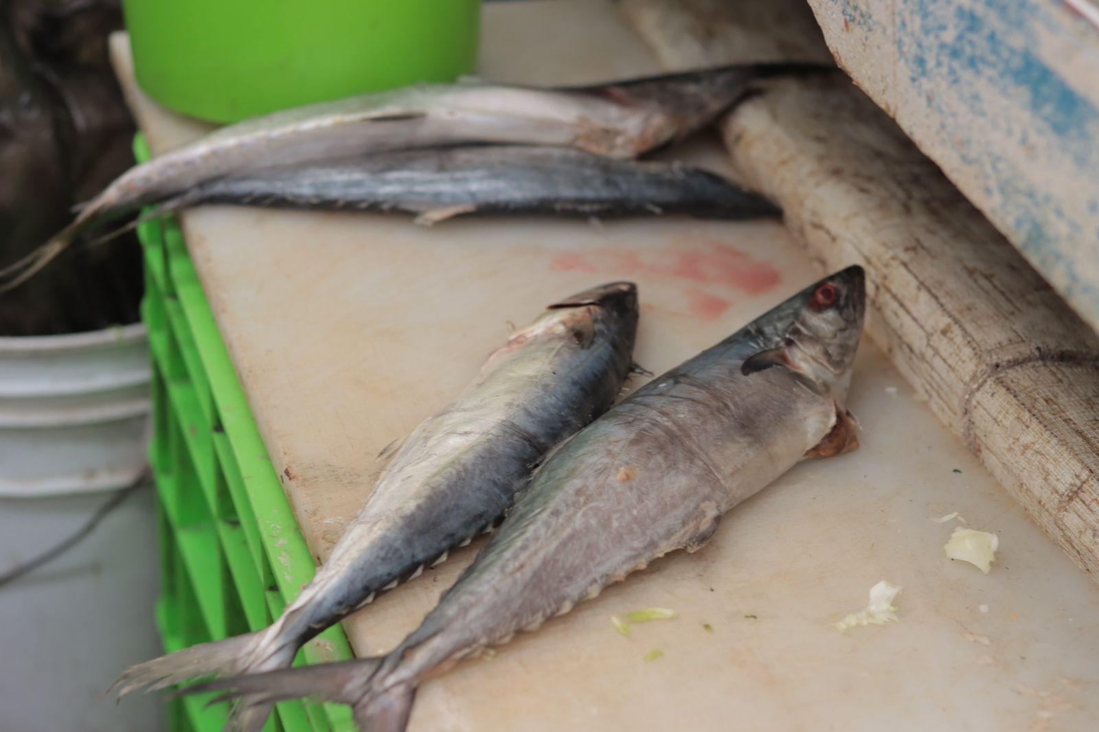 Doña Guadalupe, más de cuarenta años vendiendo mariscos en Tlaxcala