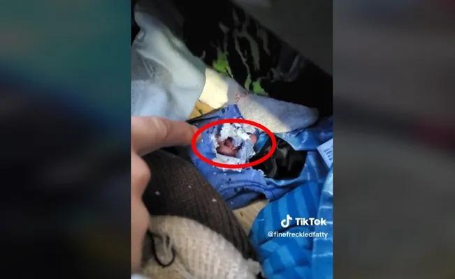 Un joven descubre en su ropa interior un nido de ratas
