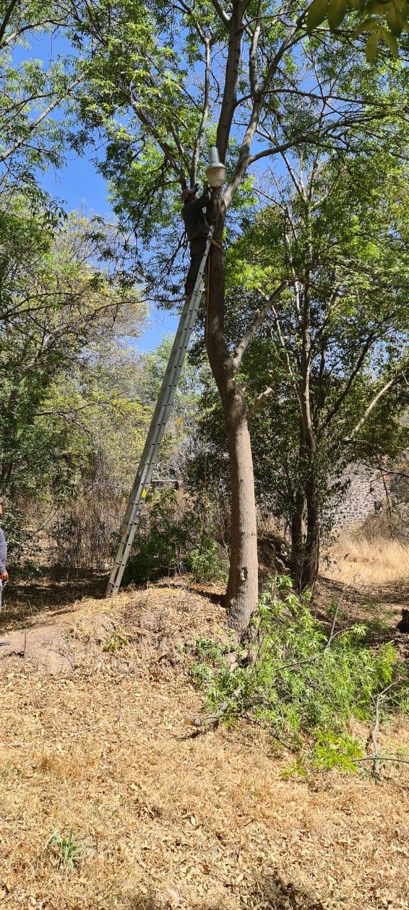 Apetatitlán avanza en el programa permanente de reparación de lámparas dañadas 
