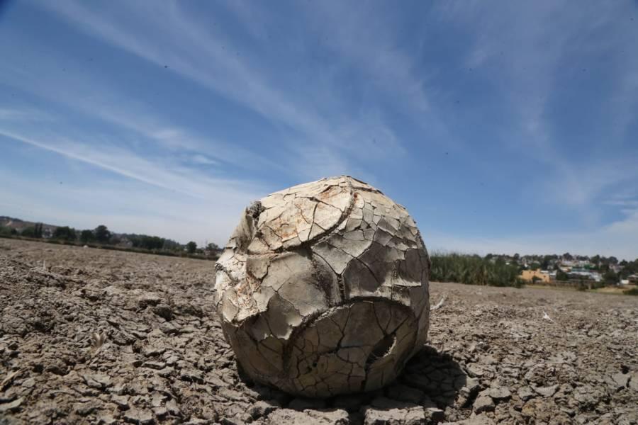Se seca la laguna de Acuitlapilco 