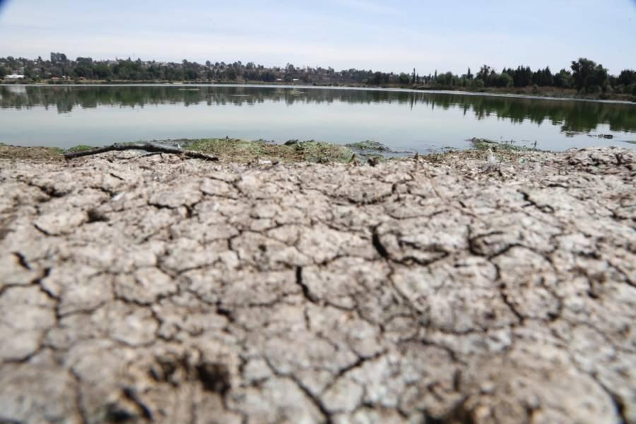 Se seca la laguna de Acuitlapilco 