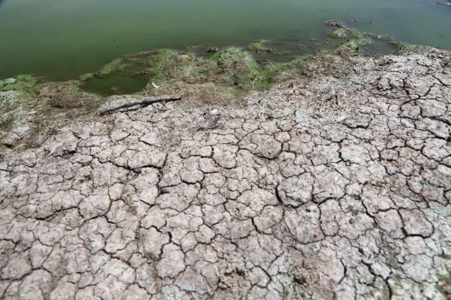 Se seca la laguna de Acuitlapilco 