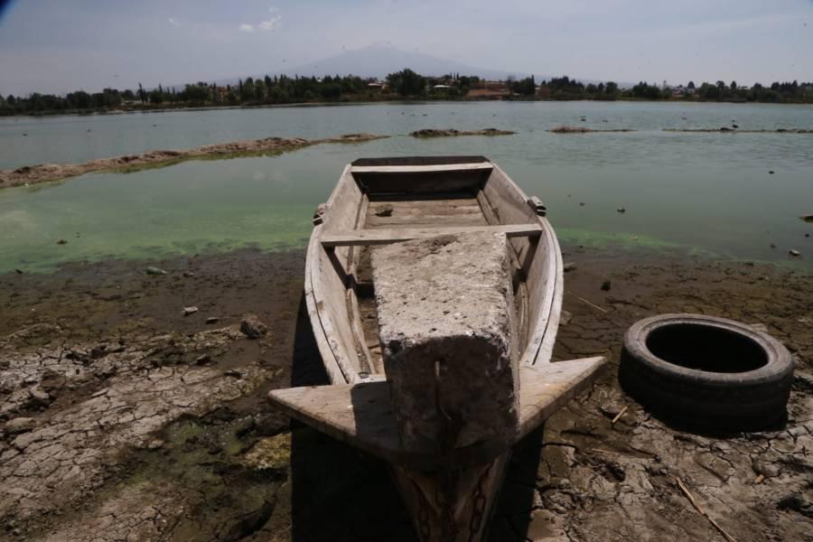 Se seca la laguna de Acuitlapilco 