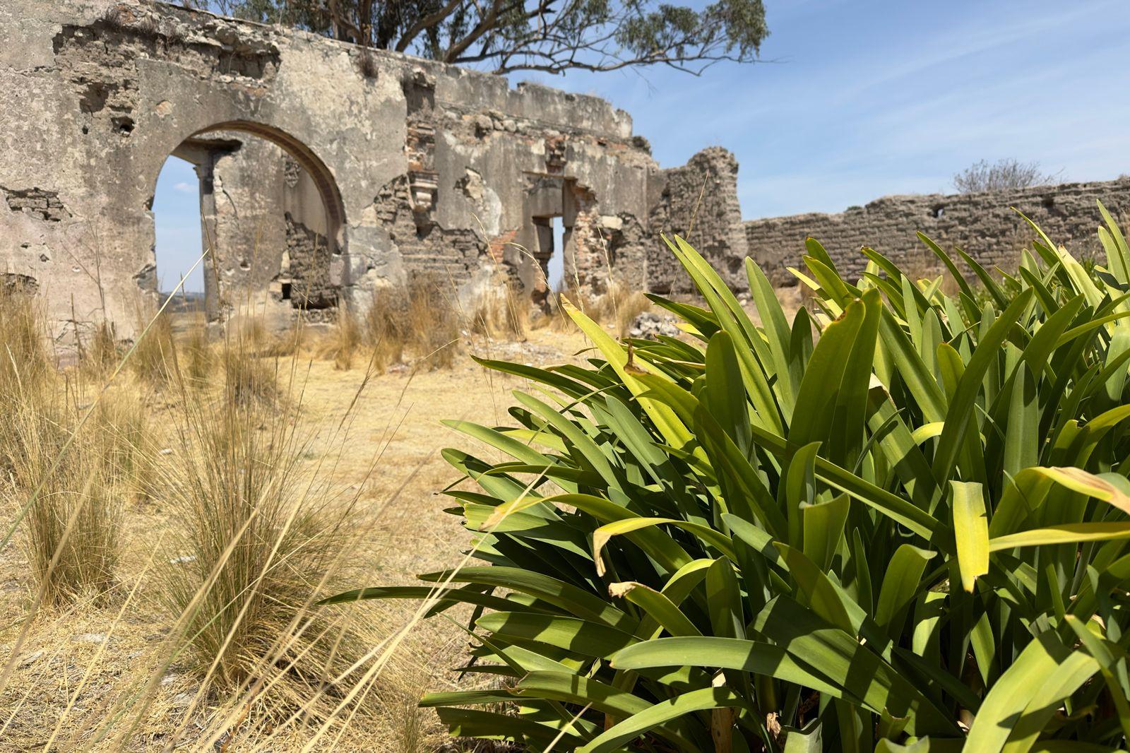 Restos de la Ex Hacienda "La blanquita"