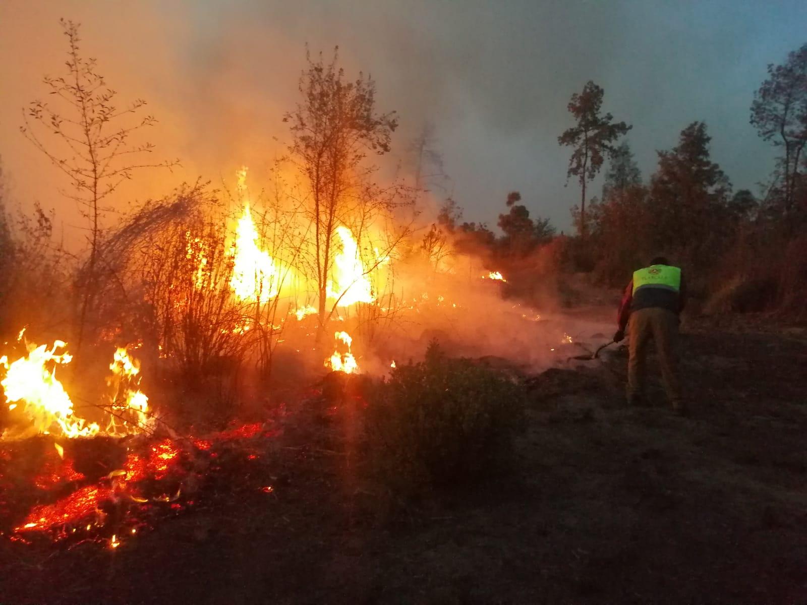 Autoridades estatales y federales combaten incendio forestal en La Malinche