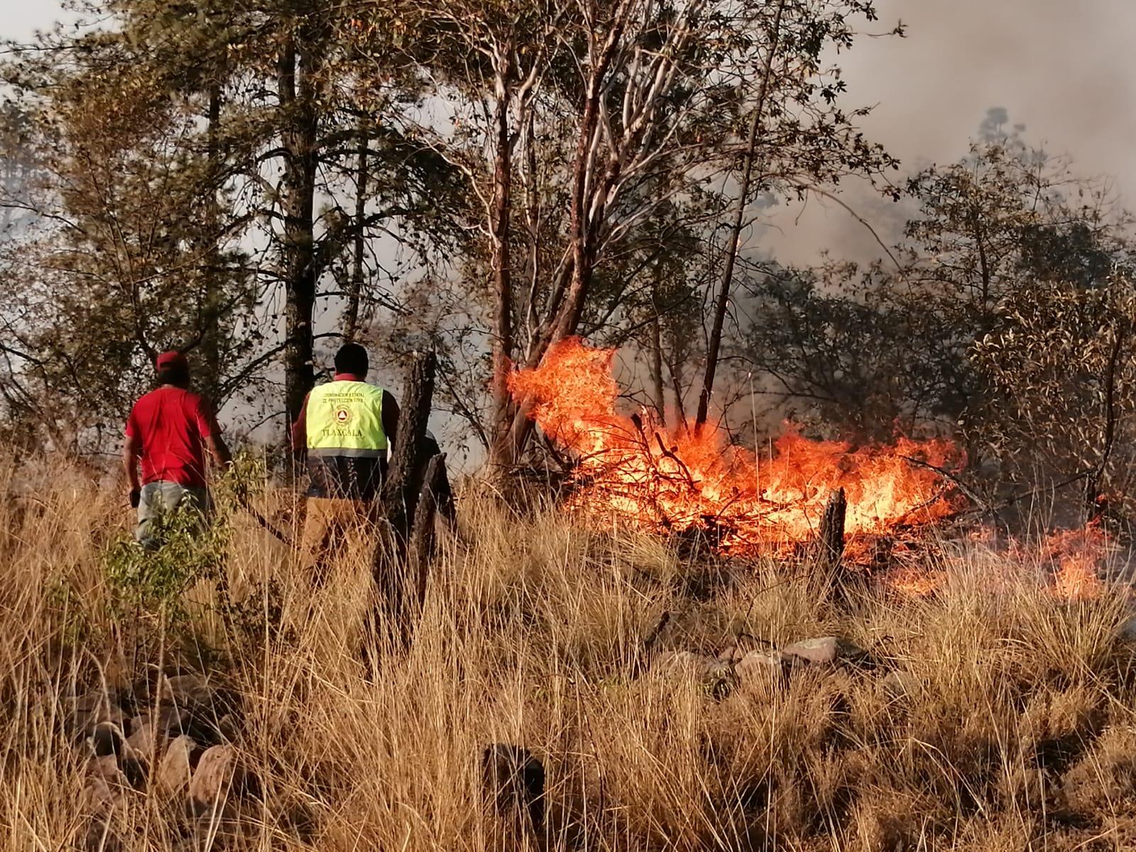 Autoridades estatales y federales combaten incendio forestal en La Malinche