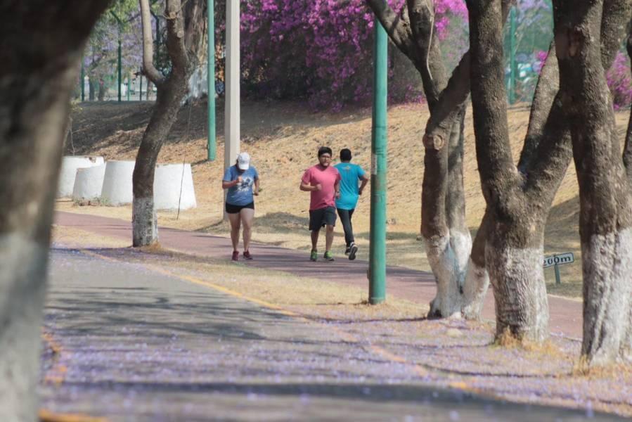 Día Internacional de la Actividad Física