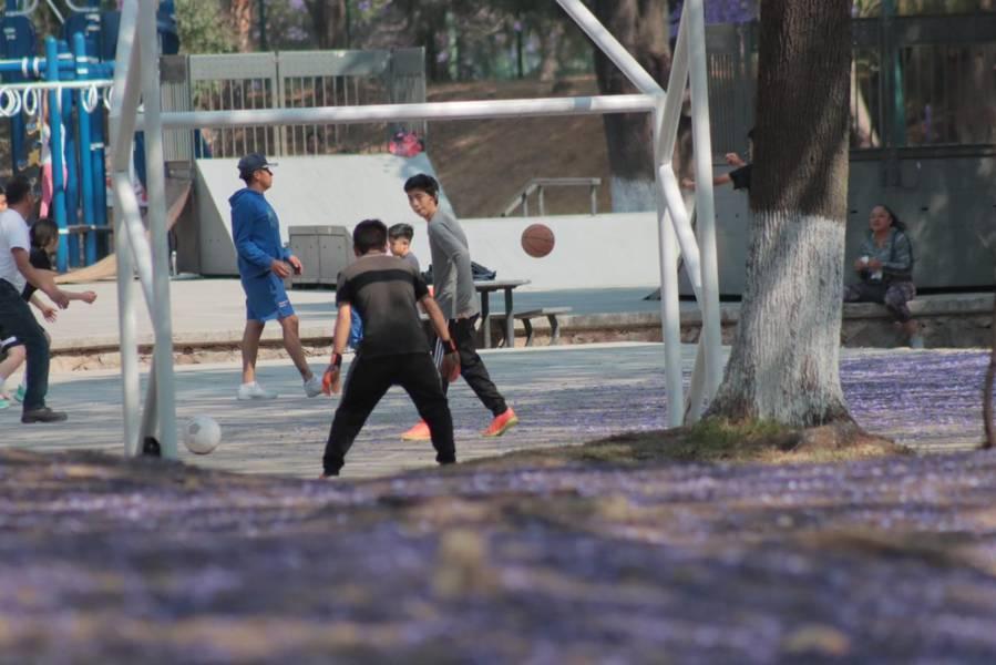 Día Internacional de la Actividad Física