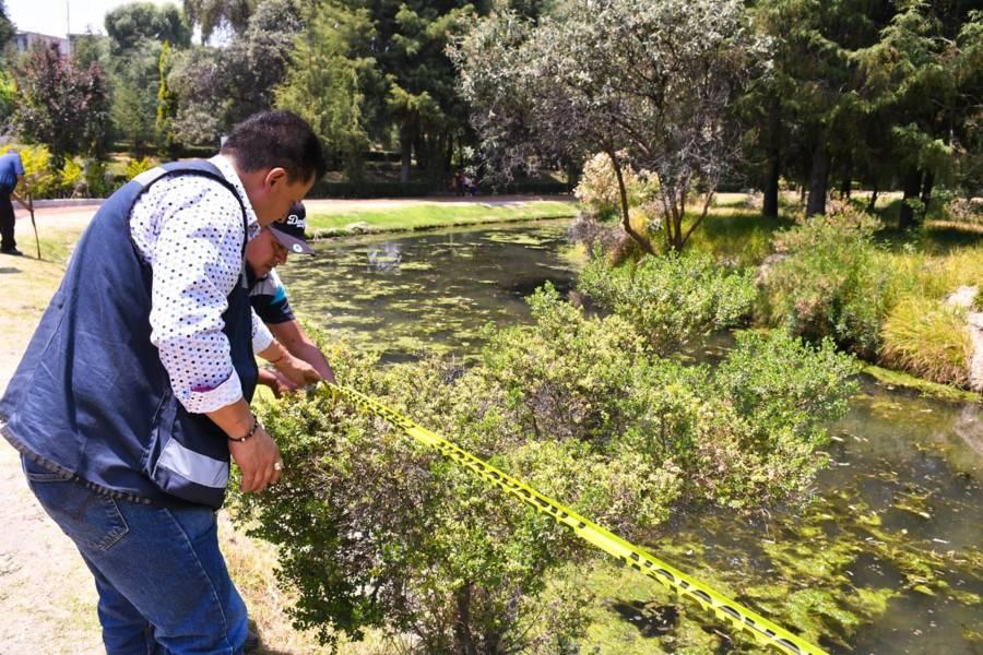Redoblan vigilancia y seguridad en Semana Santa ante la intensa movilidad en Apetatitlán 