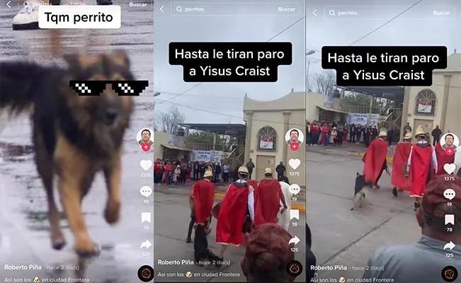 En plena Viacrucis, un perrito callejero se lleva las risas y los aplausos por defender a Jesucristo