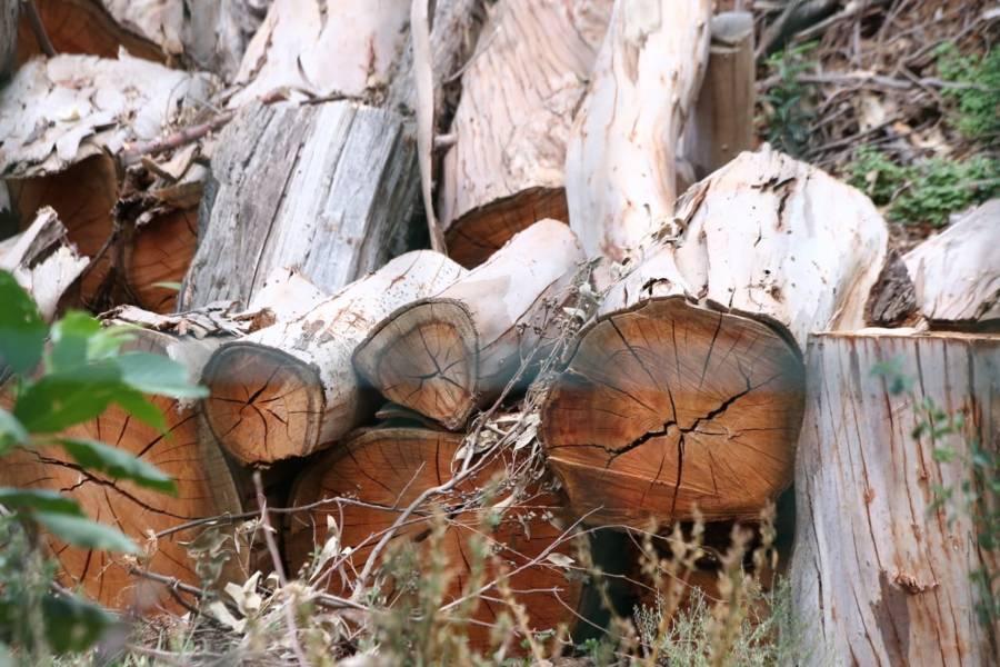 Sin fecha de reapertura el Zoológico del Altiplano