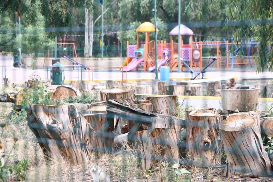 Sin fecha de reapertura el Zoológico del Altiplano